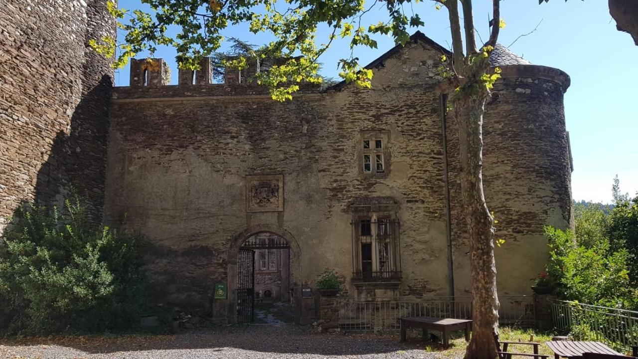 Le Chateau De Cambiaire Saint-Etienne-Vallee-Francaise Exterior photo